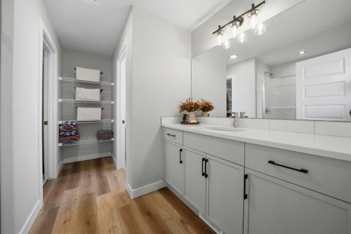 56 Trinity Street, Lacombe, AB - Indoor Photo Showing Bathroom