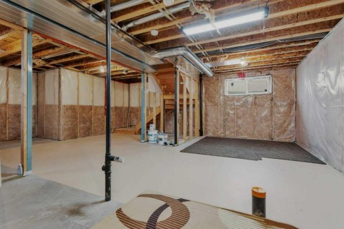 394 Teasdale Drive, Red Deer, AB - Indoor Photo Showing Basement