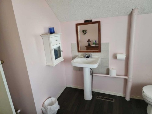4914 48 Street, Killam, AB - Indoor Photo Showing Bathroom