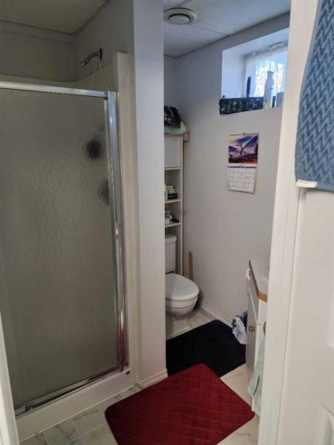 4914 48 Street, Killam, AB - Indoor Photo Showing Bathroom