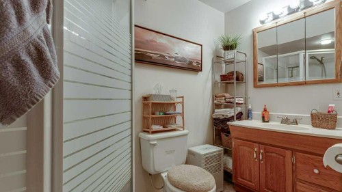 10 Douglas Avenue, Red Deer, AB - Indoor Photo Showing Bathroom