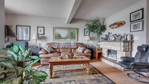 10 Douglas Avenue, Red Deer, AB - Indoor Photo Showing Living Room With Fireplace