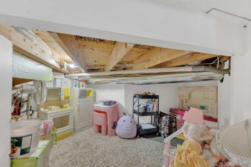 120 Devilder Avenue, Trochu, AB - Indoor Photo Showing Basement