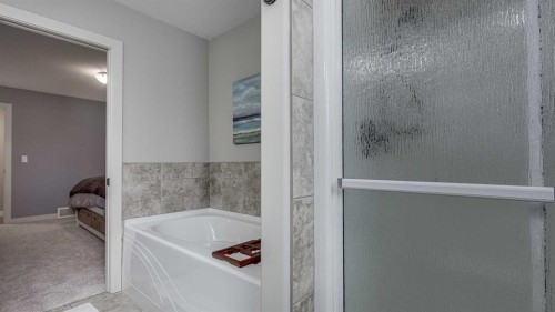 84 Isbister Close, Red Deer, AB - Indoor Photo Showing Bathroom