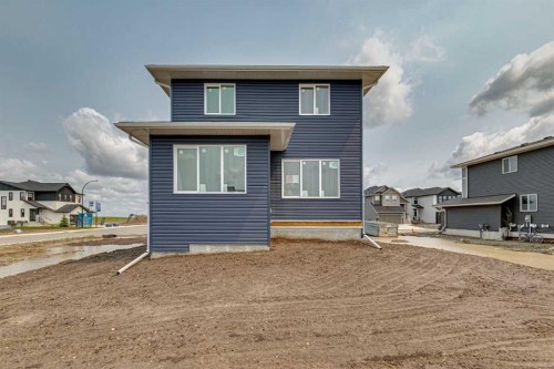 178 Clearwater Terrace, Chestermere, AB - Outdoor