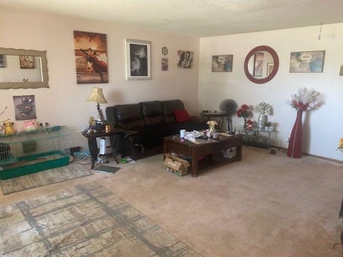 5325 53 Avenue, Bashaw, AB - Indoor Photo Showing Living Room