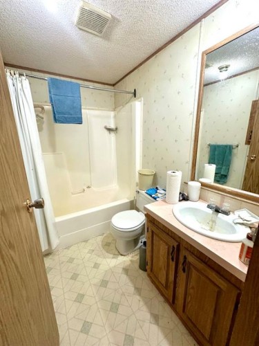 50124 Range Road 203, Rural Beaver County, AB - Indoor Photo Showing Bathroom