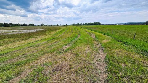 1200 Highway 584, Sundre, AB 