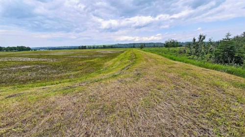 1200 Highway 584, Sundre, AB 