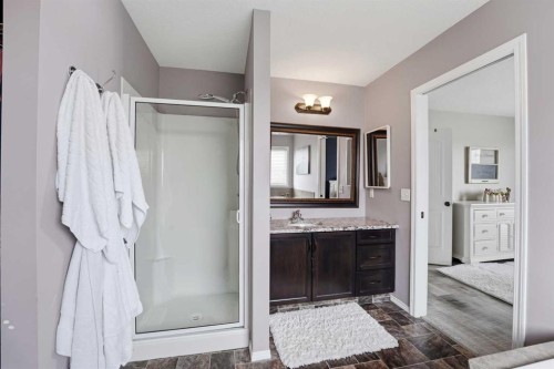33 Jarvis Close, Red Deer, AB - Indoor Photo Showing Bathroom