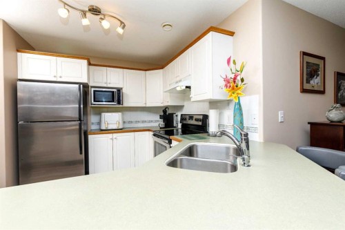 14D-32 Daines Avenue, Red Deer, AB - Indoor Photo Showing Kitchen With Double Sink