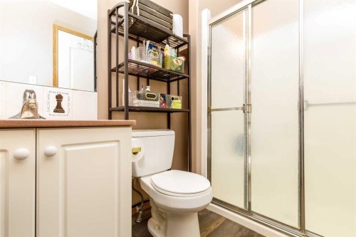 14D-32 Daines Avenue, Red Deer, AB - Indoor Photo Showing Bathroom