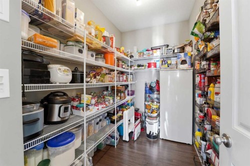 47 Thompson Crescent, Red Deer, AB - Indoor With Storage