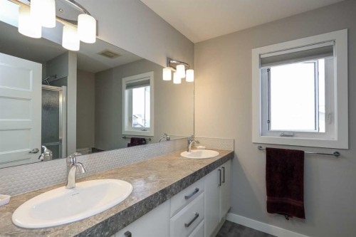 137 Coachman Way, Blackfalds, AB - Indoor Photo Showing Bathroom