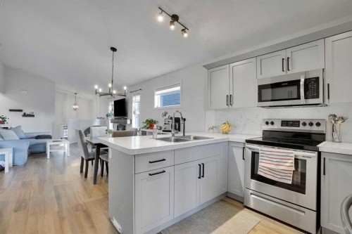 244 Thomlison Avenue, Red Deer, AB - Indoor Photo Showing Kitchen With Double Sink With Upgraded Kitchen