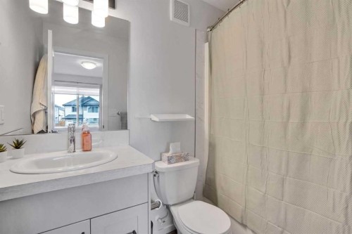 244 Thomlison Avenue, Red Deer, AB - Indoor Photo Showing Bathroom