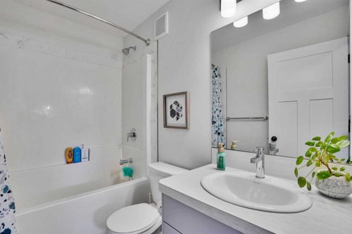 244 Thomlison Avenue, Red Deer, AB - Indoor Photo Showing Bathroom
