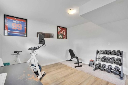 244 Thomlison Avenue, Red Deer, AB - Indoor Photo Showing Gym Room