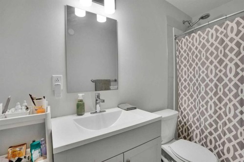 244 Thomlison Avenue, Red Deer, AB - Indoor Photo Showing Bathroom