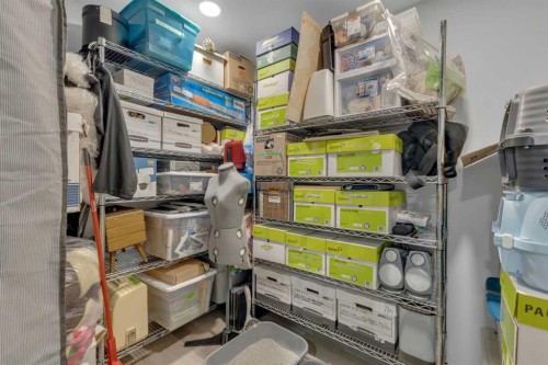 45 Dowler Street, Red Deer, AB - Indoor Photo Showing Basement