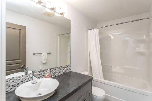 217 Van Slyke Way, Red Deer, AB - Indoor Photo Showing Bathroom