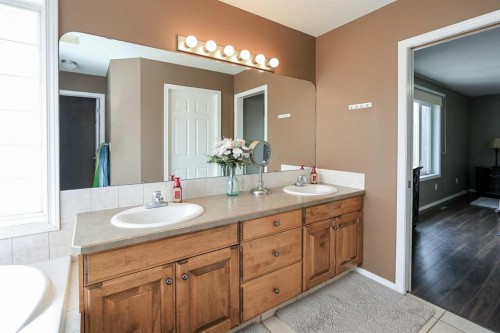193 Alberts Close, Red Deer, AB - Indoor Photo Showing Bathroom
