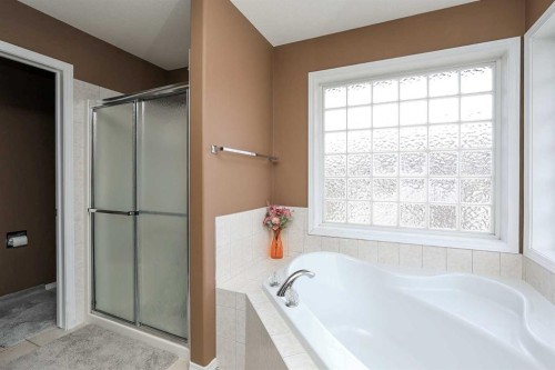 193 Alberts Close, Red Deer, AB - Indoor Photo Showing Bathroom