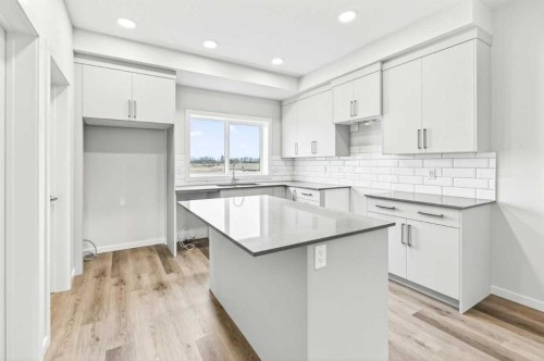 163 Lincoln Crescent, Rural Red Deer County, AB - Indoor Photo Showing Kitchen With Upgraded Kitchen