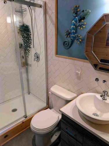 410 5 St E, Winfield, AB - Indoor Photo Showing Bathroom