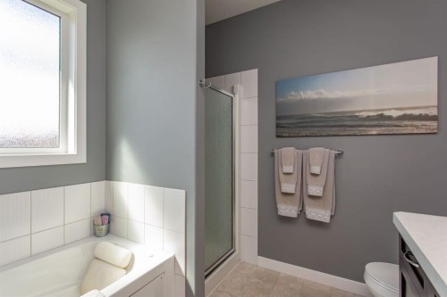 9 Bowman Circle, Sylvan Lake, AB - Indoor Photo Showing Bathroom