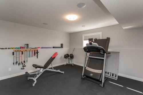 9 Bowman Circle, Sylvan Lake, AB - Indoor Photo Showing Gym Room