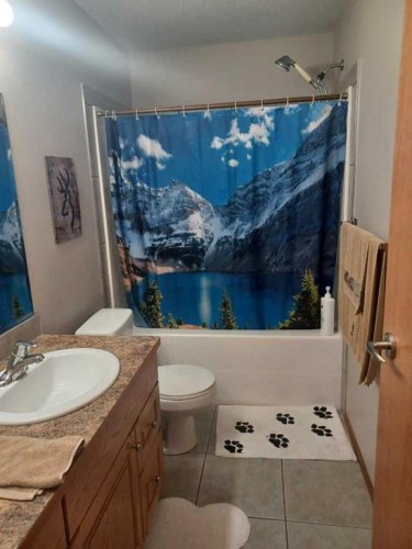 31 Oaklands Crescent, Red Deer, AB - Indoor Photo Showing Bathroom
