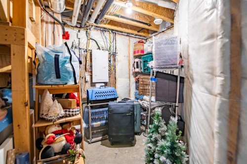8 Springfield Boulevard, Sylvan Lake, AB - Indoor Photo Showing Basement