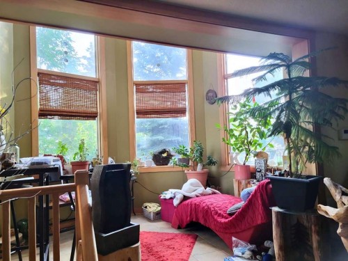 4643 29 Avenue Nw, Calgary, AB - Indoor
