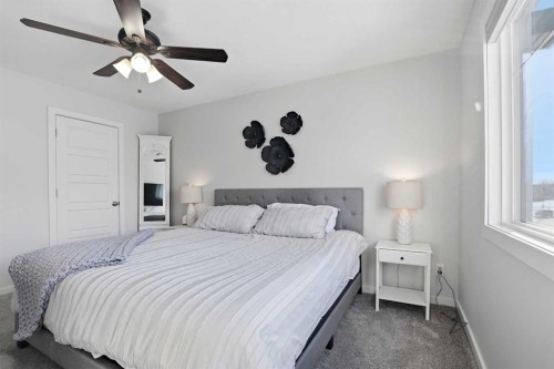 14 Van Slyke Way, Red Deer, AB - Indoor Photo Showing Bedroom