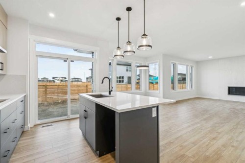 286 Dawson Wharf Rise, Chestermere, AB - Indoor Photo Showing Kitchen With Upgraded Kitchen