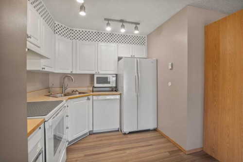 101-60 Jacobs Close, Red Deer, AB - Indoor Photo Showing Kitchen With Double Sink