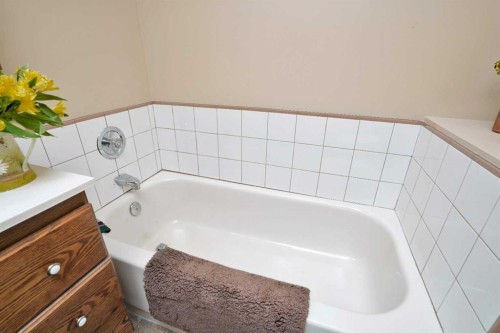 133 Birchcliff Road, Birchcliff, AB - Indoor Photo Showing Bathroom