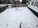 6038 Spruce Crescent, Stettler, AB  - Outdoor 