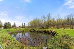 276 Pine Cove Rural Camrose County, AB T0B 1M0