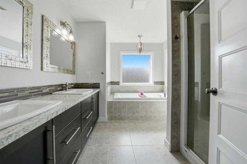 113 Coachman Way, Blackfalds, AB - Indoor Photo Showing Bathroom