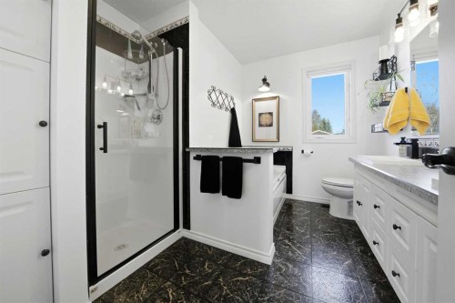 6 Sydney Close, Red Deer, AB - Indoor Photo Showing Bathroom