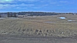 Lot 8 RR20  Rimbey, AB T0C 2J0