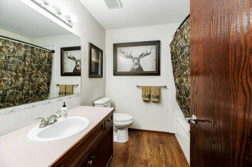 299 Cornett Drive, Red Deer, AB - Indoor Photo Showing Bathroom
