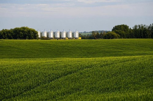 1,085 Acres, Two Hills, AB 