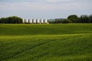 1,085 Acres, Two Hills, AB 