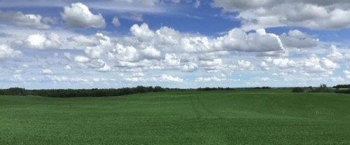 1,085 Acres, Two Hills, AB 