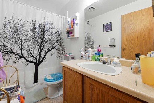 39 Greene Close, Red Deer, AB - Indoor Photo Showing Bathroom