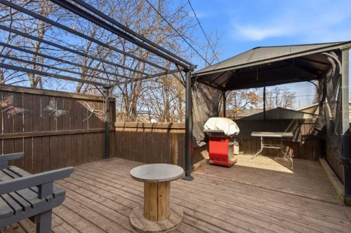 4820 48 Avenue, Innisfail, AB - Outdoor With Deck Patio Veranda With Exterior