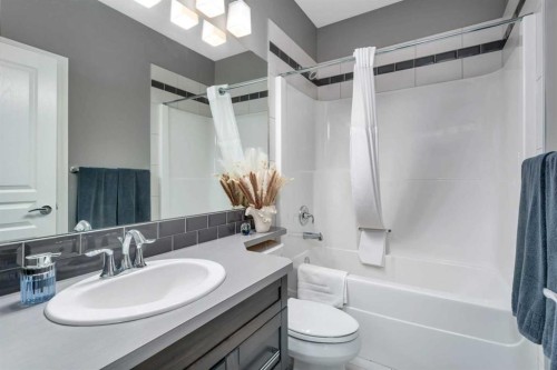 11 Craig Road, Sylvan Lake, AB - Indoor Photo Showing Bathroom